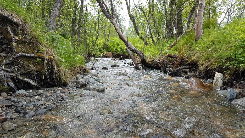 Gamtunet Lyngen Svensby المظهر الخارجي الصورة